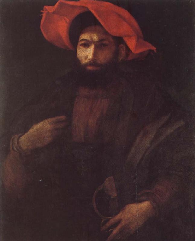 Rosso Fiorentino Portrait of a Kinight oil painting image
